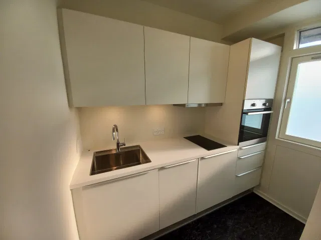 apartment Newly Renovated Apartment on Benediktsgade