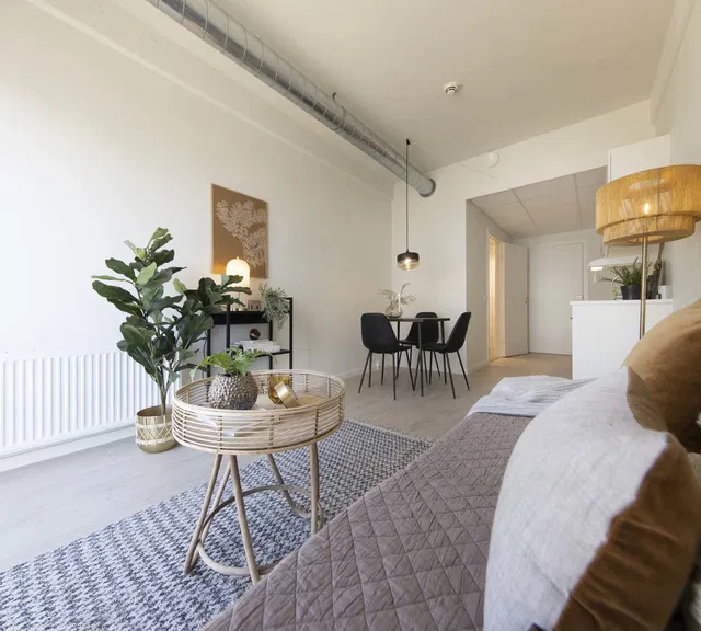 apartment 1-værelses studiebolig med moderne fællesfaciliteter