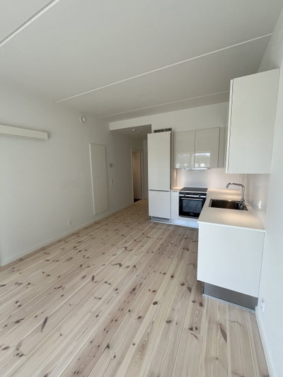 Dejlig mindre 2 værelses med depotrum og gratis parkering. - Cortex Park Vest, Odense M - 3