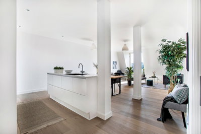 Paris på Frederiksberg. . - Vodroffsvej, Frederiksberg C - 2