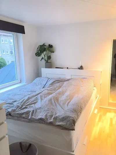 Lys 2-værelses på 64 m2 med parkering og husdyr tilladt efter aftale - Digmannsvej, Nørresundby - 4