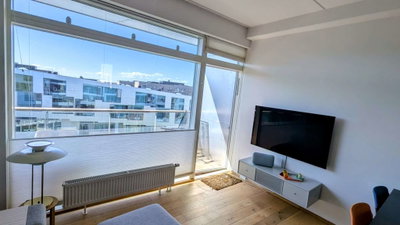 Bo tæt på byen – med naturen lige om hjørnet - Robert Jacobsens Vej, København S - 3