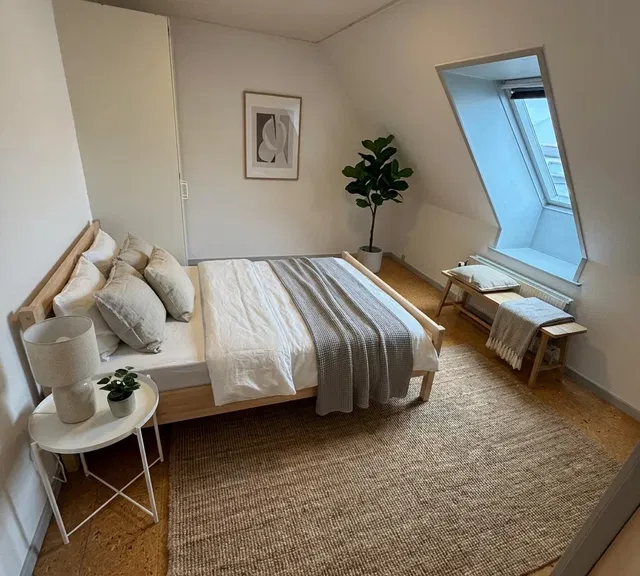 apartment Lys 2-værelses med kvistvinduer, vaskemaskine og husdyr tilladt – 40 m2