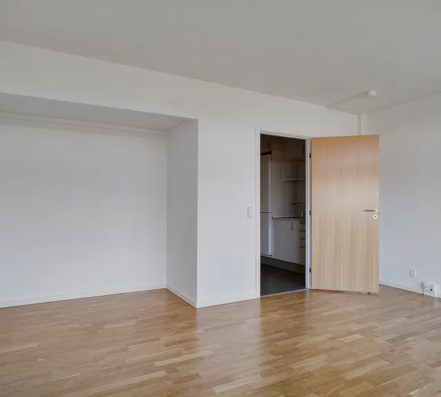 apartment Attraktiv 1-værelses i rolig ejendom