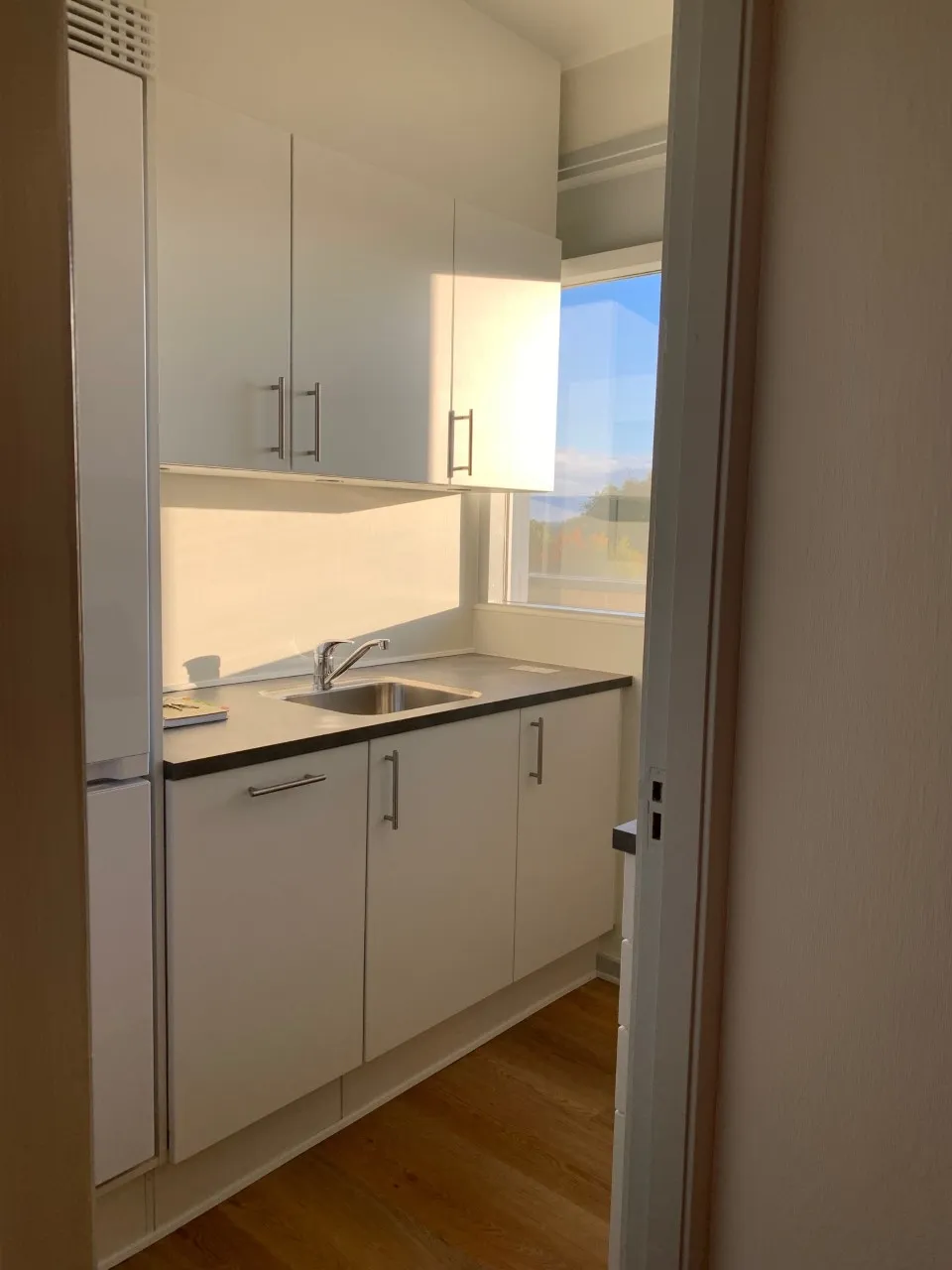 apartment Renovated 2-room apartment with south- and west-facing balcony