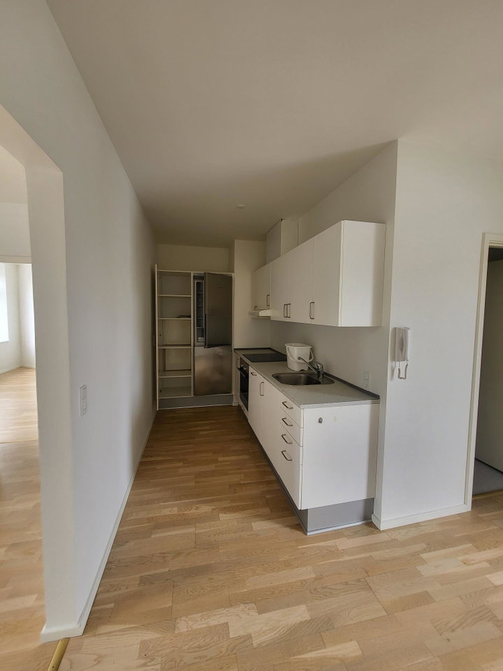 Nyrenoveret lejlighed på 54 m² i Horsens, Løvenørnsgade - Løvenørnsgade, Horsens - 0