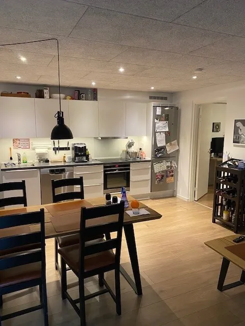 Renoveret centrumslejlighed med stor terrasse - Bredgade, Brædstrup - 0