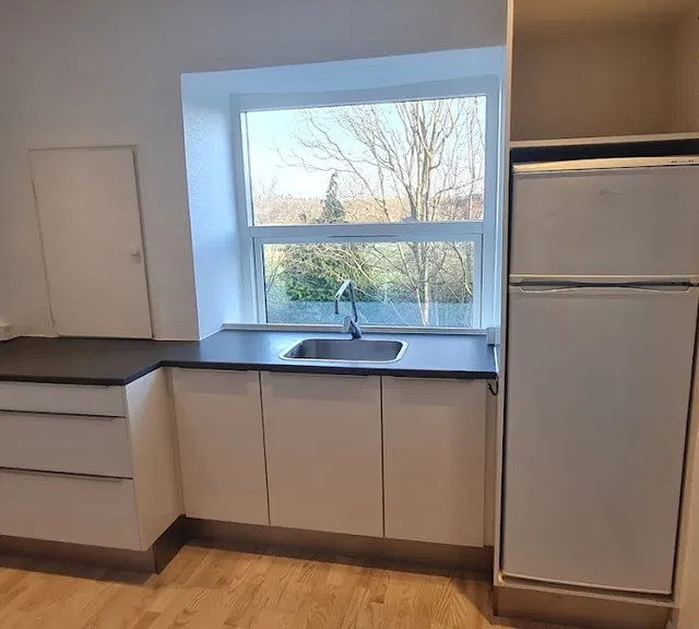 apartment Lys 1. salslejlighed med have og husdyr muligt