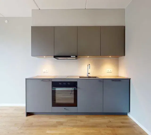 apartment Ro, natur og byliv i balance – moderne studio i Ørestad