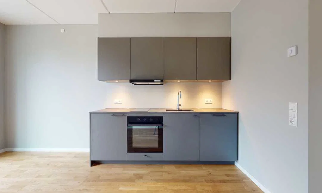 apartment Ro, natur og byliv i balance – moderne studio i Ørestad