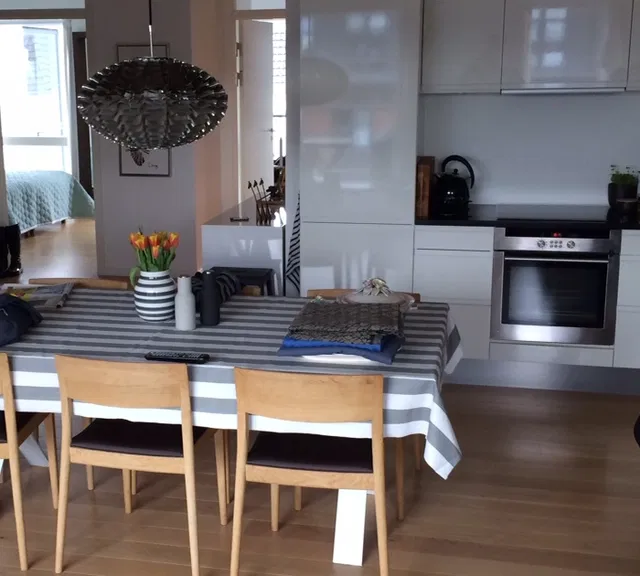 apartment Amerika Plads, København Ø (udlejes til expats)