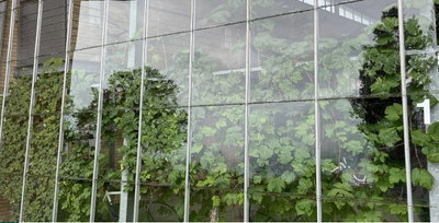 2 værelses lejlighed omgivet af skøn natur - Rapsmarken, Odense S - 1