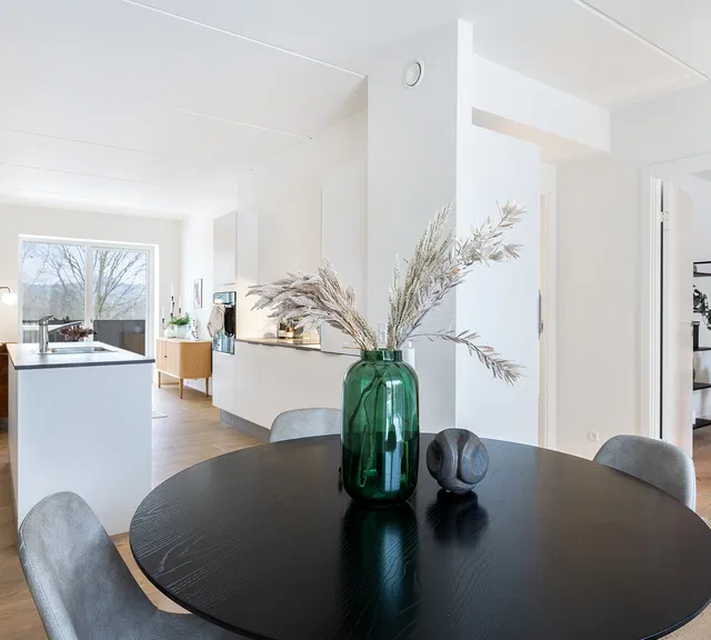 apartment 3-room apartment with open-plan kitchen and terrace