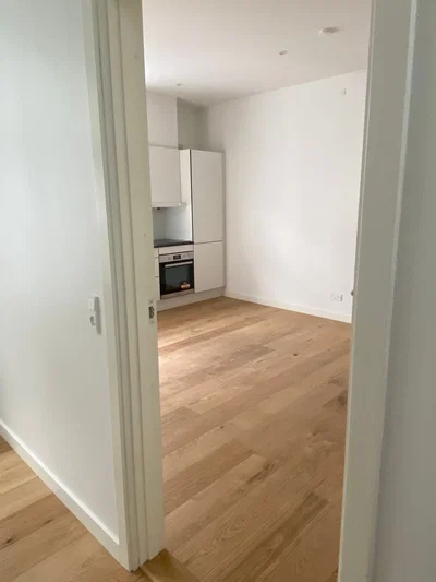 Nyistandsat lejlighed med god udnytning af kvadratmeterne - Amaliegade, Horsens - 3