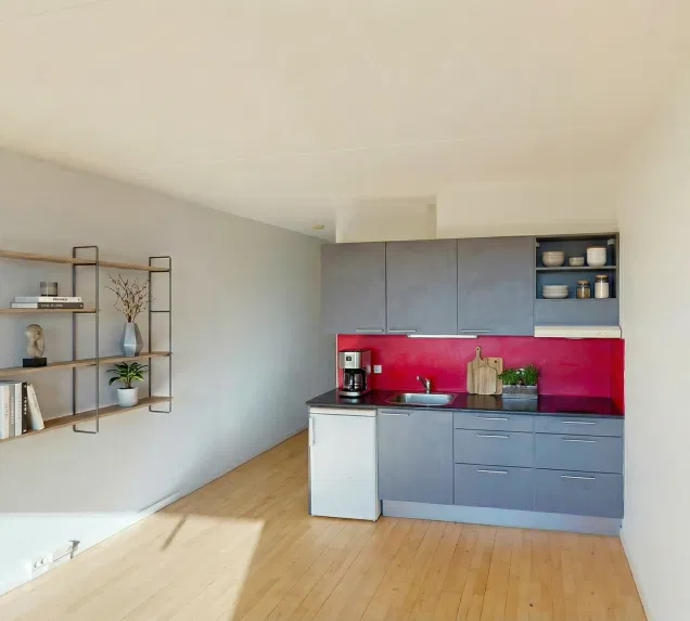 apartment Ungdomsbolig med altan tæt på Limfjorden