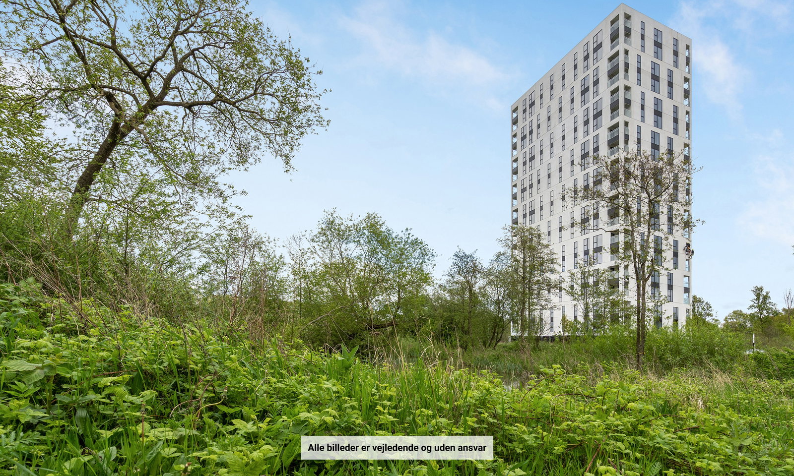 Visual presentation of the listing