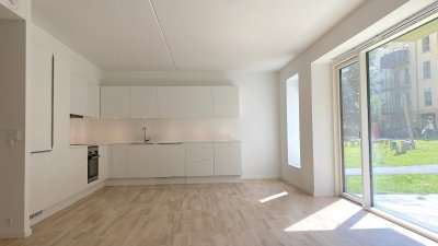 Lys og rummelig lejlighed med terrasse - Bomhusvej, København Ø - 1