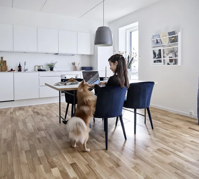 apartment Lys 2-værelses lejlighed med sydvendt altan