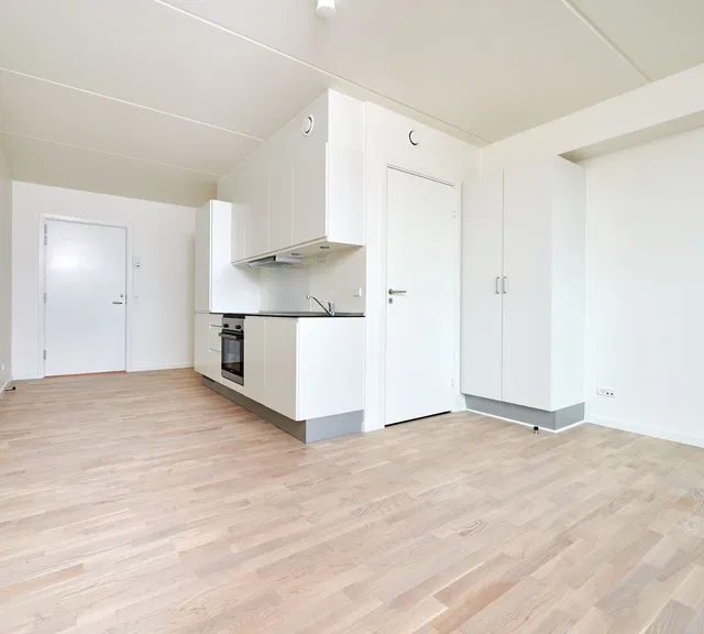 apartment 1-room apartment with private balcony and shared facilities