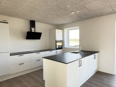 Nyopført rækkehus på 87 m² med to terrasser i Hedensted - Naturligheden, Hedensted - 1