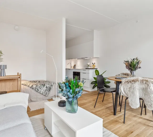 apartment Perfekt til den studerende