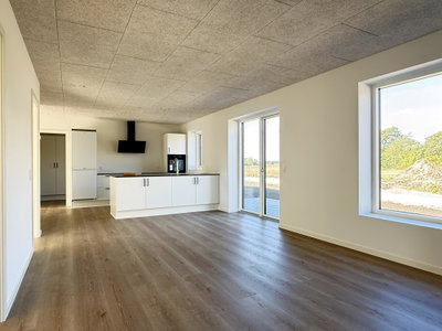 Nybygget rækkehus på 105 m² med have og to terrasser - Naturligheden, Hedensted - 1