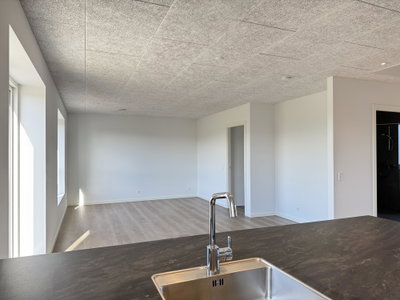 Lyst rækkehus på 89 m² med have og to terrasser - Naturligheden, Hedensted - 2