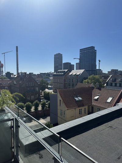 Lys 2-værelses lejlighed med stor altan - Sønder Allé, Aarhus C - 4