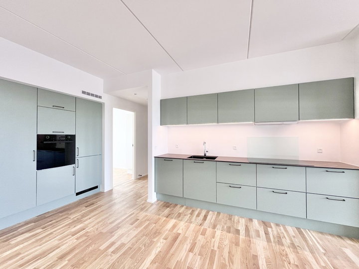 Moderne lejebolig på 103 m² i Aalborg SV - Anna Anchers Vej, Aalborg SV - 0