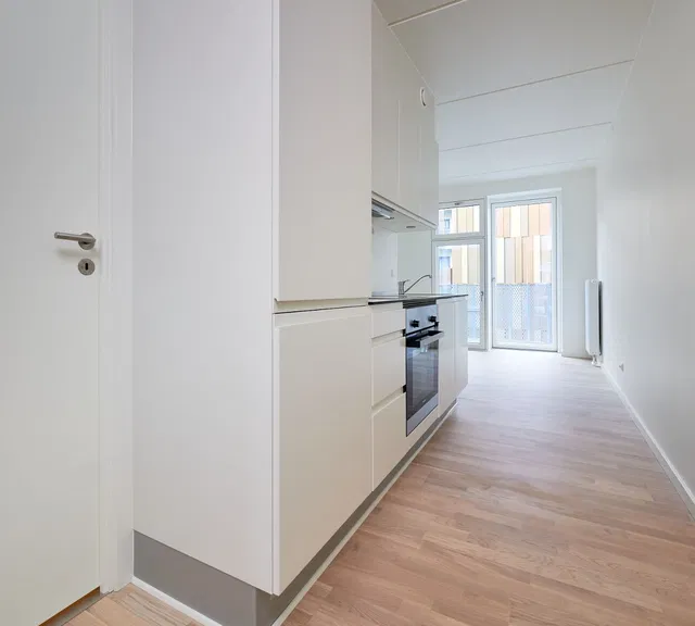 apartment 1-room apartment with private balcony and shared facilities