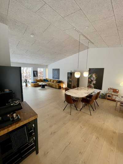 Lyst rækkehus med terrasse i naturskønne omgivelser - Gubsøtoften, Silkeborg - 4