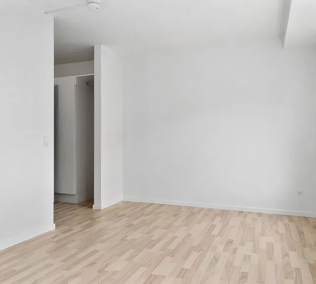 apartment Lys 1-værelses lejlighed med fransk altan i Viborg