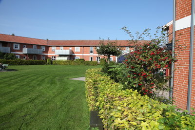 Lækker lejlighed med 1 værelser - Åparken, Sakskøbing - 3