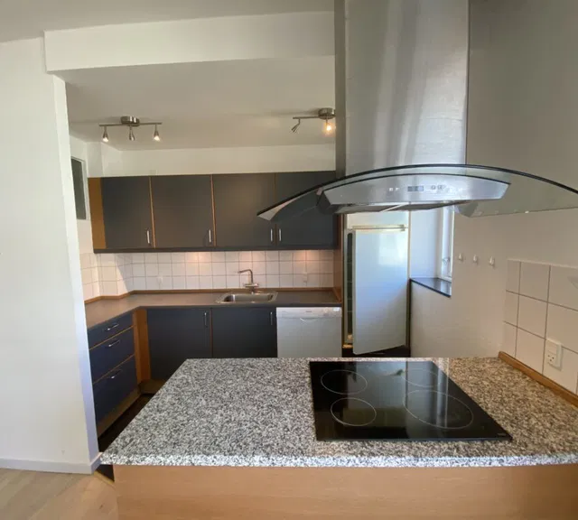 apartment 1-værelses lejlighed med central beliggenhed