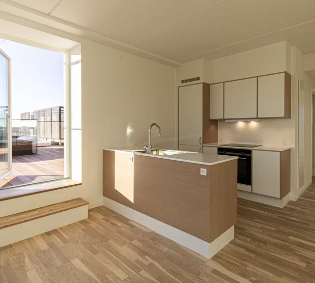 apartment Stor 3-værelses lejlighed med 55 kvm privat tagterrasse