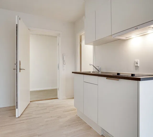 apartment 1-værelses lejlighed med fælles tagterrasse