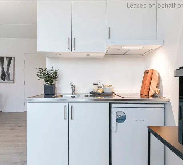 apartment 1-værelses lejlighed ved Poppelstykket