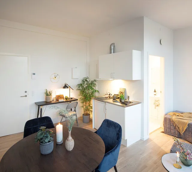 apartment Etværelses lejebolig på Østerbro