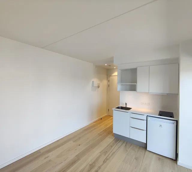 apartment New studio apartment with a large balcony