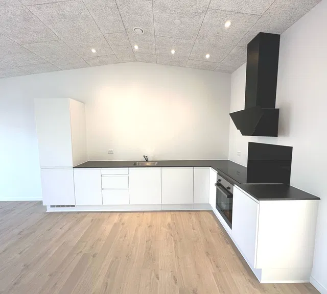 townhouse Kolbæk Parken - Hald Ege