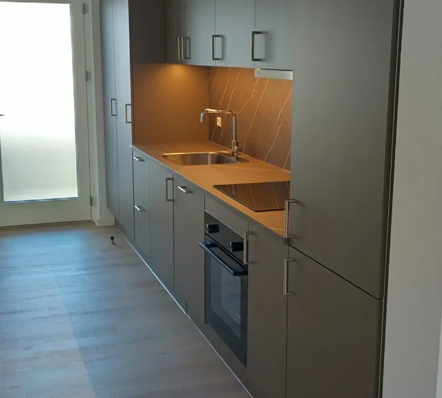 apartment Newly renovated 2-room apartment of 50 m² near the local railway