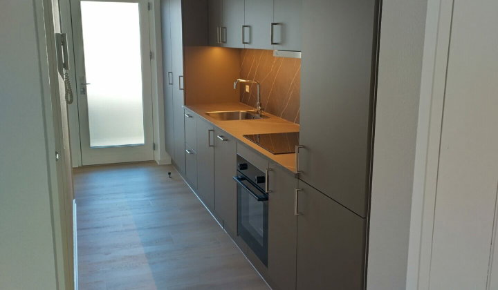Nyrenoveret 2-værelses på 50 m² nær Nærbanen - Dannebrogsgade, Aalborg - 0