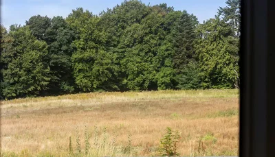 Lys 4-værelses bolig på 124 m² nær Vejle - Store Grundet Alle, Vejle - 3