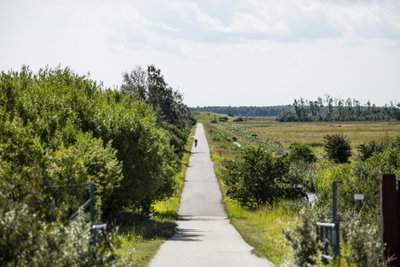 Lys 5-værelses lejlighed med vestvendt altan - Else Alfelts Vej, København S - 1