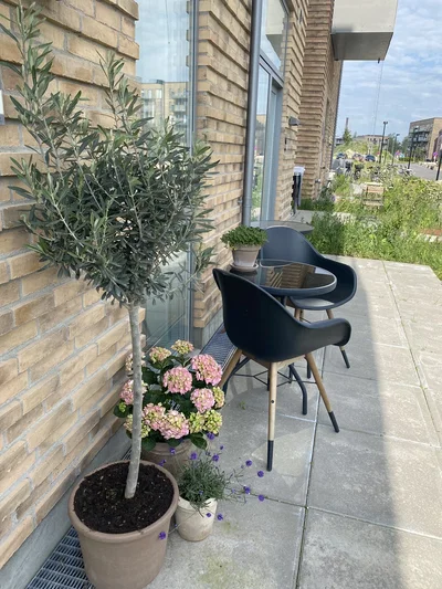 Lys lejlighed med terrasse, beliggende ved fjord og natur - Stigsborg Parkvej, Nørresundby - 2