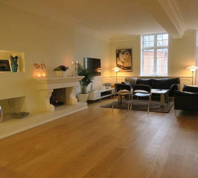 apartment Exclusive apartment with balconies and rooftop terrace in Aalborg
