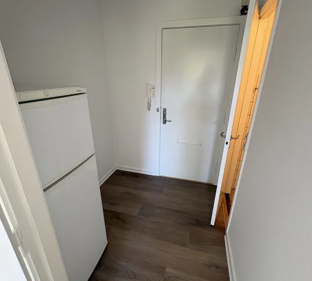 apartment 1-room apartment with good shared facilities