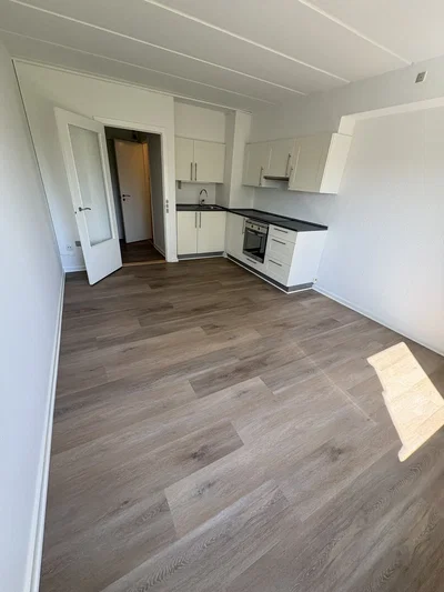 1-værelses lejlighed med gode fællesfaciliteter - Treldevej, Fredericia - 3