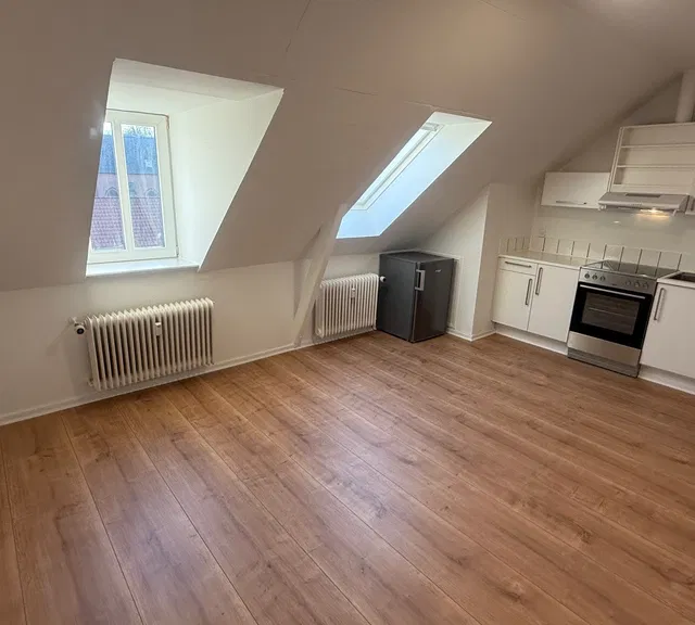 apartment Centralt beliggende 1-værelses med fælles terrasse