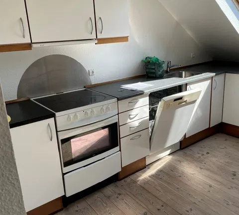 apartment Stor hyggelig taglejlighed.